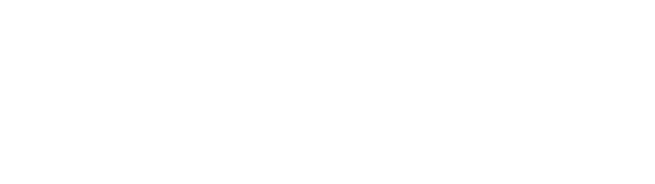 Rais Express Delivery Logo